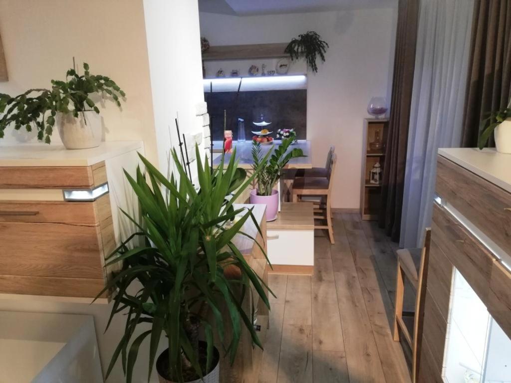 Galeria Stastie Apartment เซเนซ ภายนอก รูปภาพ