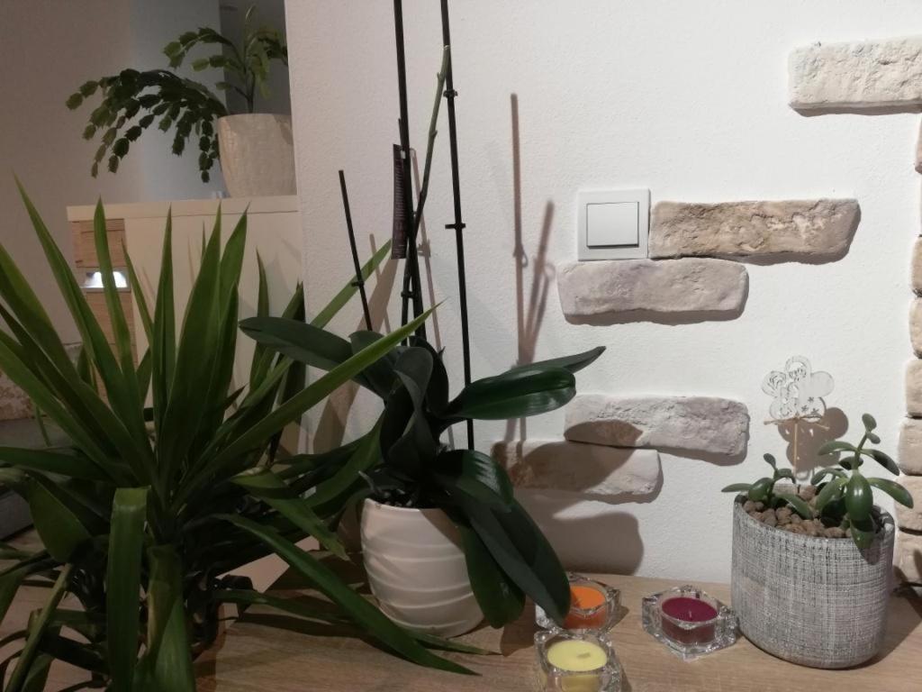 Galeria Stastie Apartment เซเนซ ภายนอก รูปภาพ